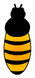 bee body